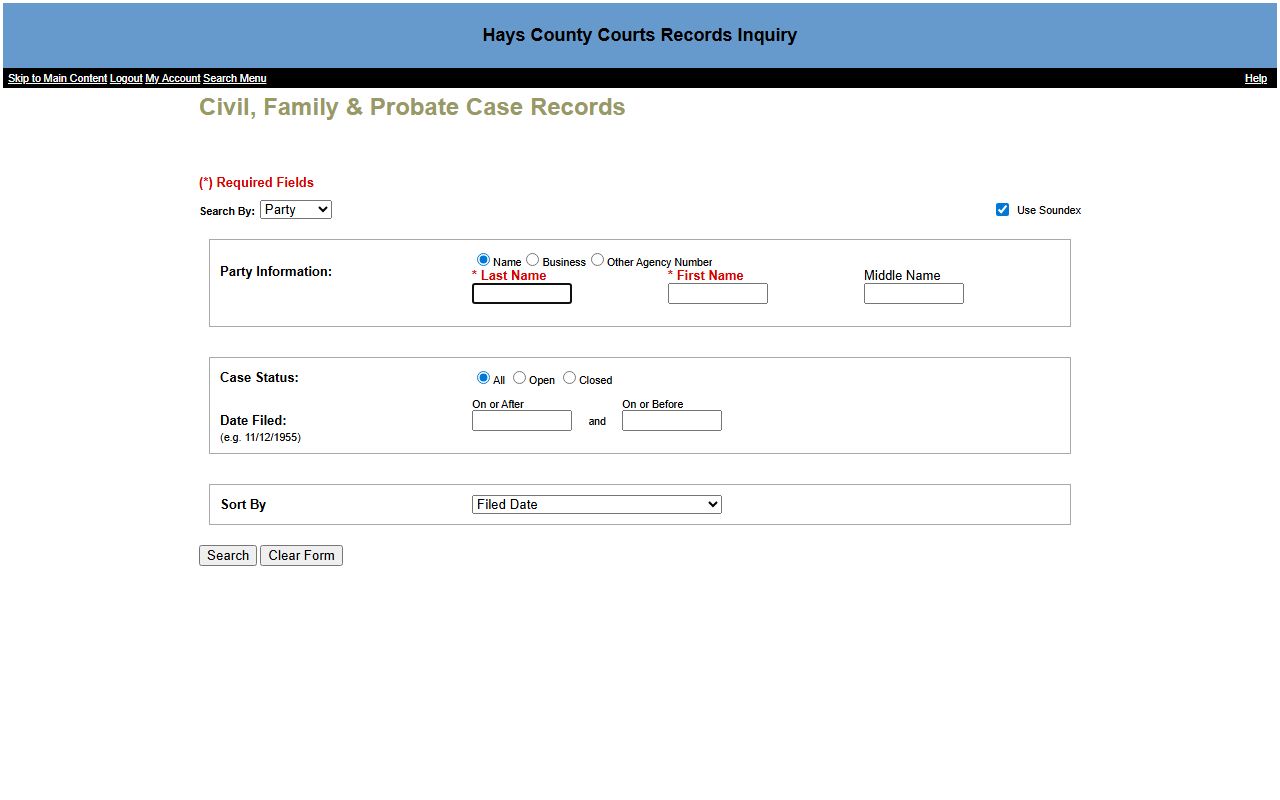 Hays County civil, family, and probate court records search fields
