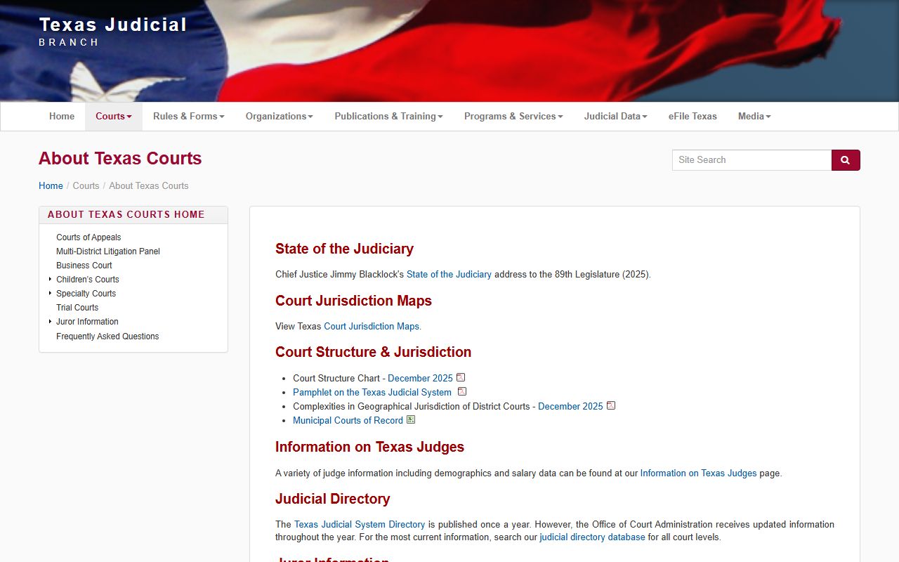 Texas court structure overview used for Hays County court records