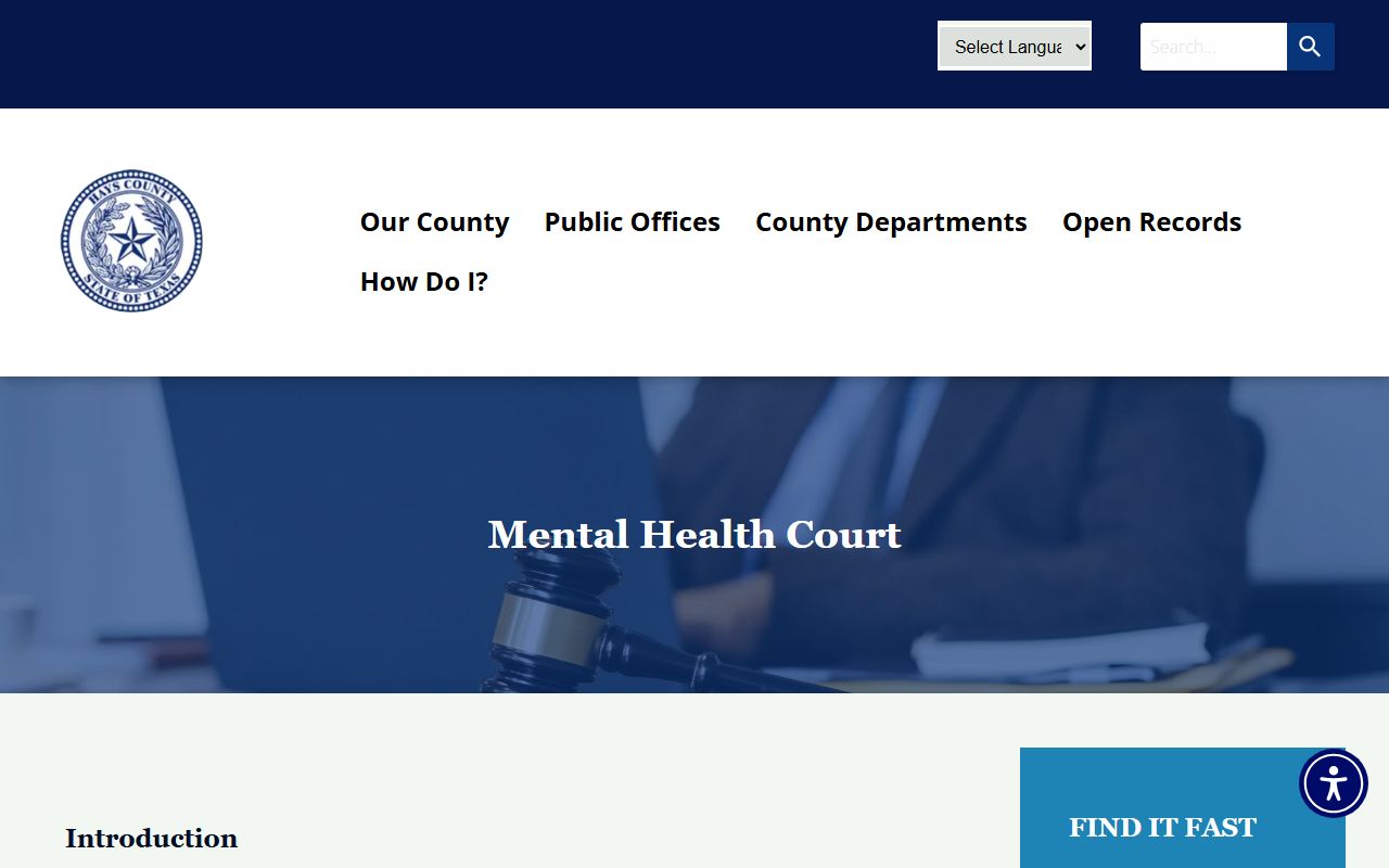 Hays County Mental Health Court page tied to probate and guardianship records